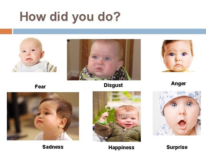 How did you do? Fear Sadness Disgust Happiness Anger Surprise 