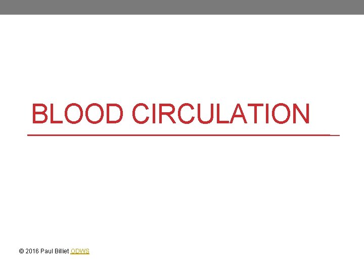 BLOOD CIRCULATION © 2016 Paul Billiet ODWS 