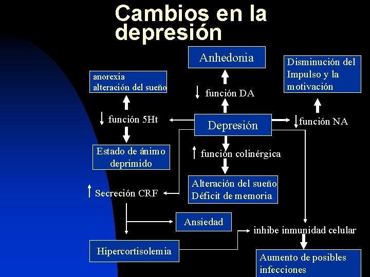 Cambios en la depresión Anhedonia anorexia alteración del sueño función 5 Ht Estado de