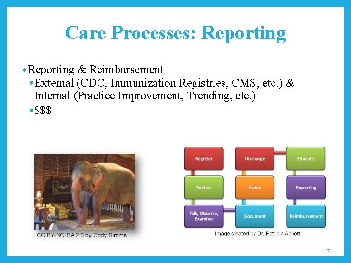 Care Processes: Reporting • Reporting & Reimbursement • External (CDC, Immunization Registries, CMS, etc.