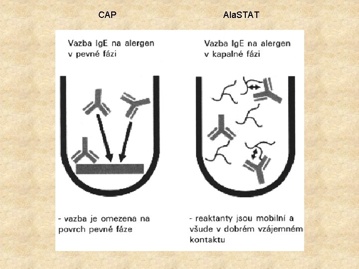 CAP Ala. STAT 