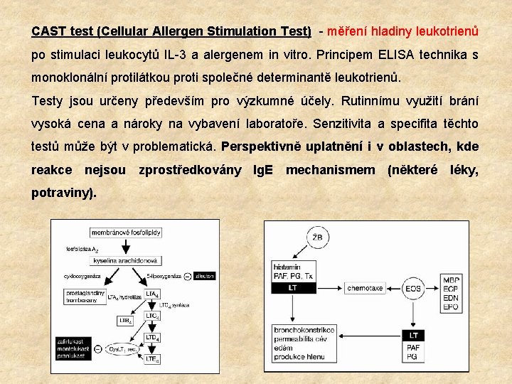 CAST test (Cellular Allergen Stimulation Test) - měření hladiny leukotrienů po stimulaci leukocytů IL-3