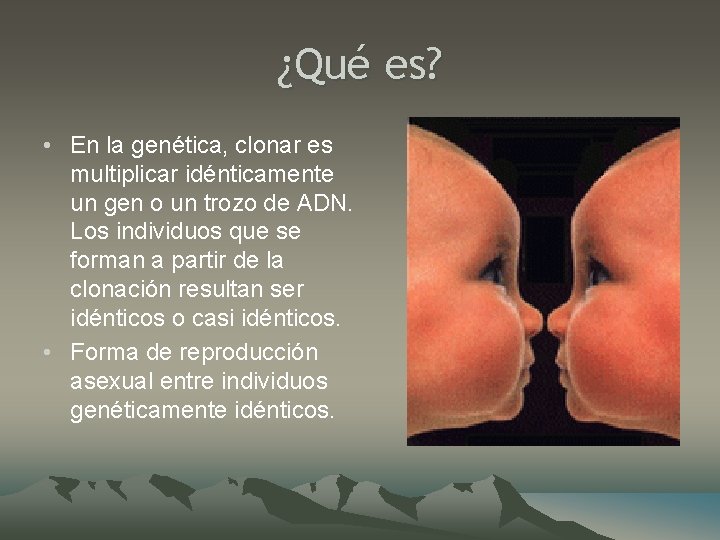 ¿Qué es? • En la genética, clonar es multiplicar idénticamente un gen o un