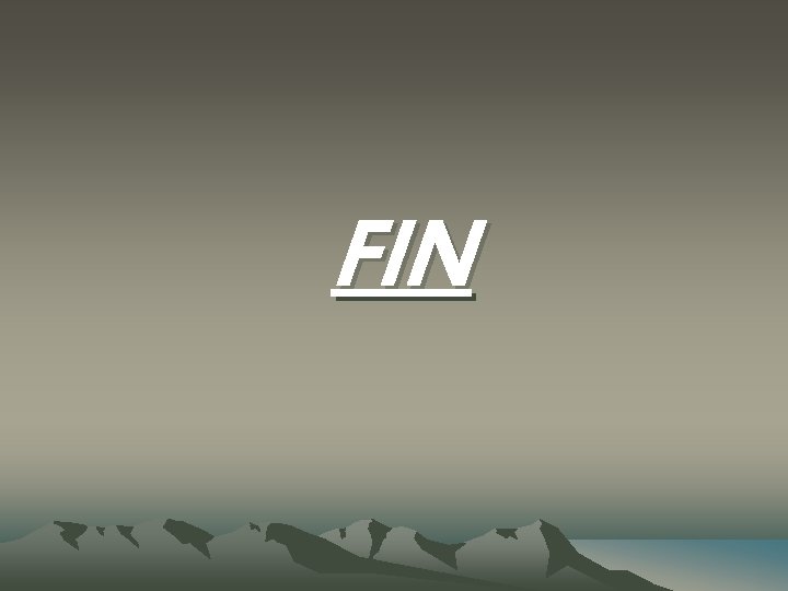 FIN 