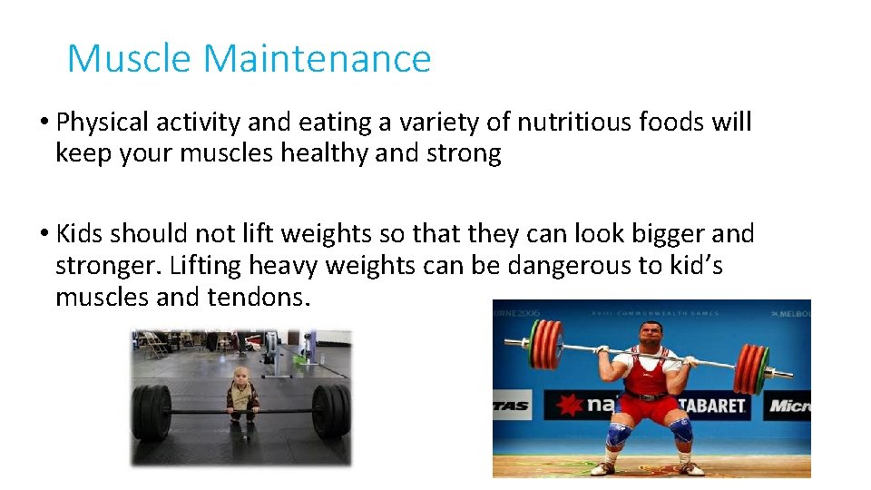 Muscle Maintenance • Physical activity and eating a variety of nutritious foods will keep