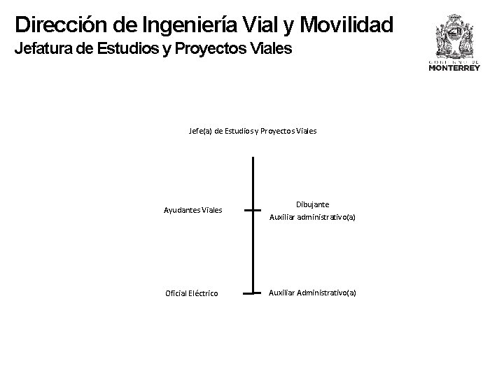 Dirección de Ingeniería Vial y Movilidad Jefatura de Estudios y Proyectos Viales Jefe(a) de