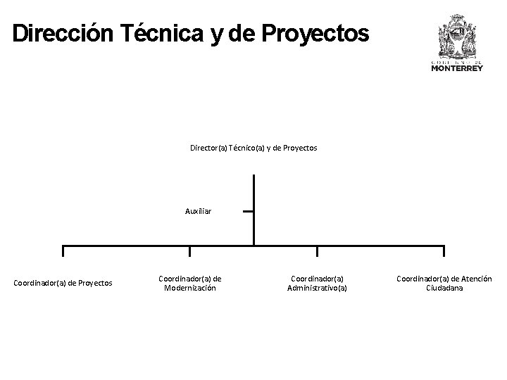 Dirección Técnica y de Proyectos Director(a) Técnico(a) y de Proyectos Auxiliar Coordinador(a) de Proyectos