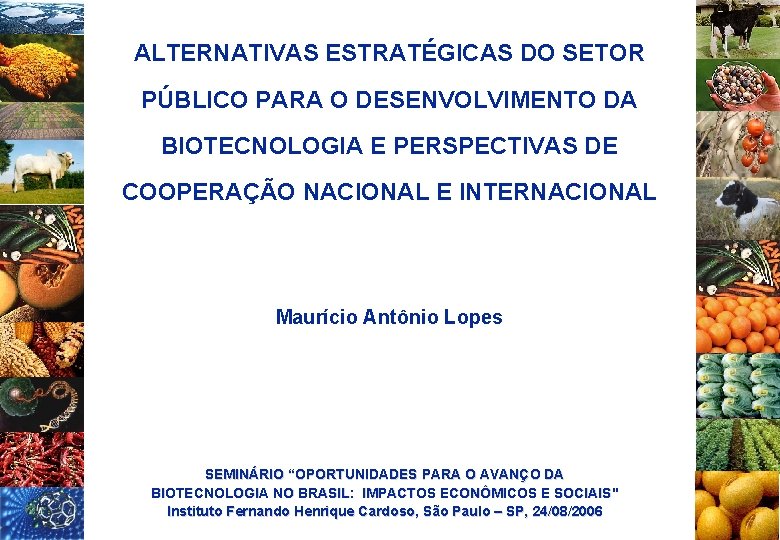 ALTERNATIVAS ESTRATÉGICAS DO SETOR PÚBLICO PARA O DESENVOLVIMENTO DA BIOTECNOLOGIA E PERSPECTIVAS DE COOPERAÇÃO