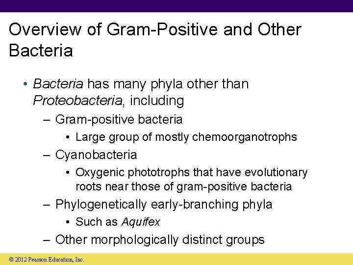 Overview of Gram-Positive and Other Bacteria • Bacteria has many phyla other than Proteobacteria,