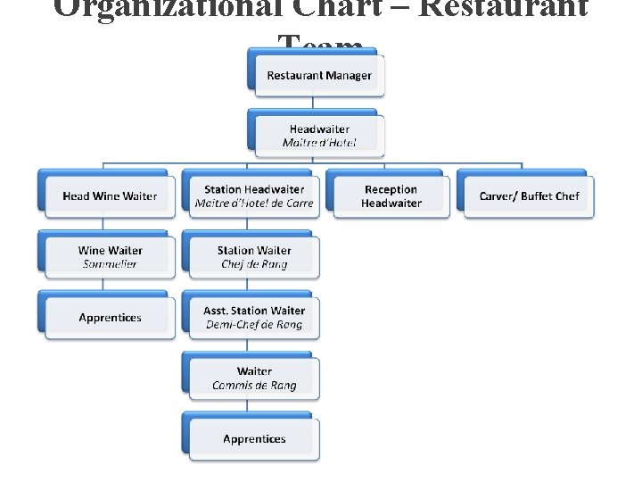 Organizational Chart – Restaurant Team 