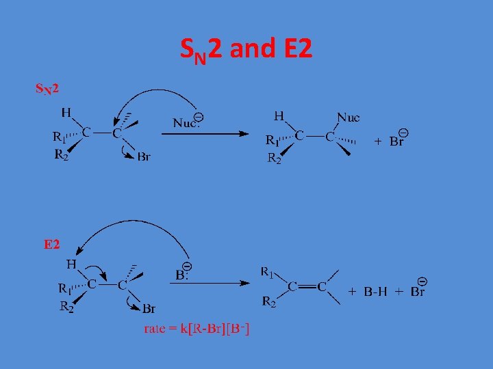 SN 2 and E 2 
