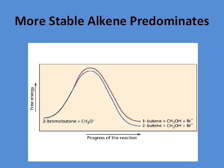 More Stable Alkene Predominates 