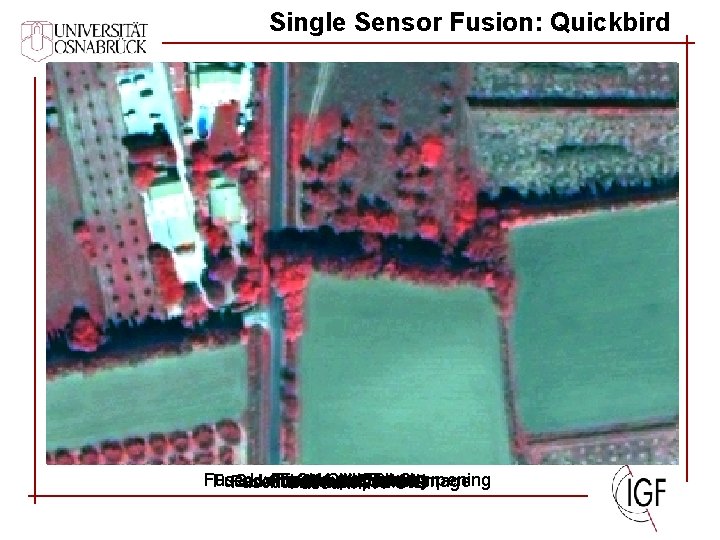 Single Sensor Fusion: Quickbird Fused with Fused CN with Spectral with Ehlers Brovey Sharpening