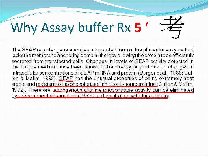 Why Assay buffer Rx 5 ‘ 考 