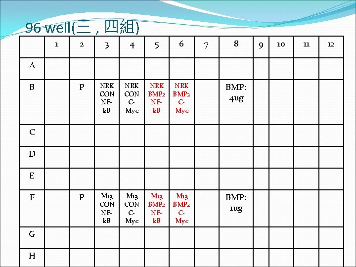 96 well(三 , 四組) 1 2 3 4 5 6 7 8 P NRK