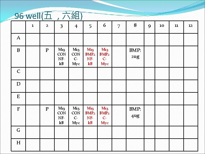 96 well(五 , 六組) 1 2 3 4 5 6 7 8 P M