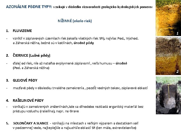 AZONÁLNE PôDNE TYPY: vznikajú v dôsledku rôznorodosti geologicko-hydrologických pomerov NÍŽINNÉ (okolo riek) 1. FLUVIZEME