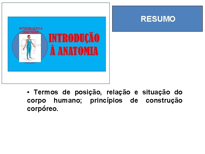 RESUMO • Termos de posição, relação e situação do corpo humano; princípios de construção