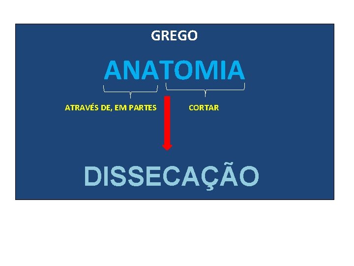 GREGO ANATOMIA ATRAVÉS DE, EM PARTES CORTAR DISSECAÇÃO 