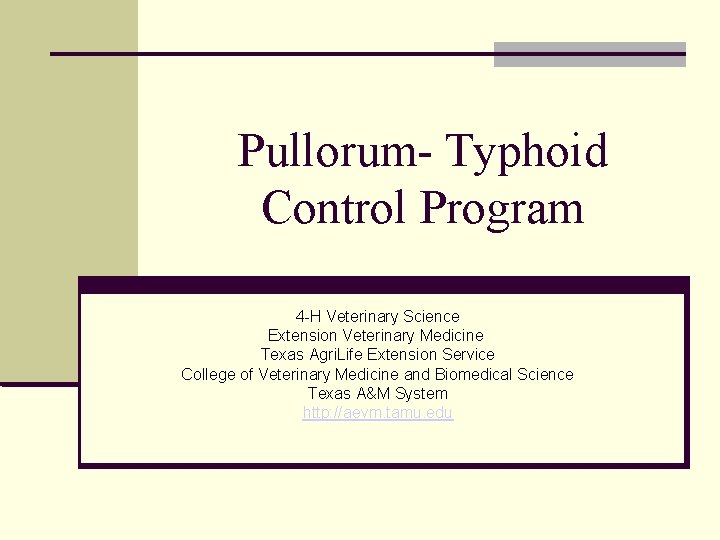 Pullorum- Typhoid Control Program 4 -H Veterinary Science Extension Veterinary Medicine Texas Agri. Life