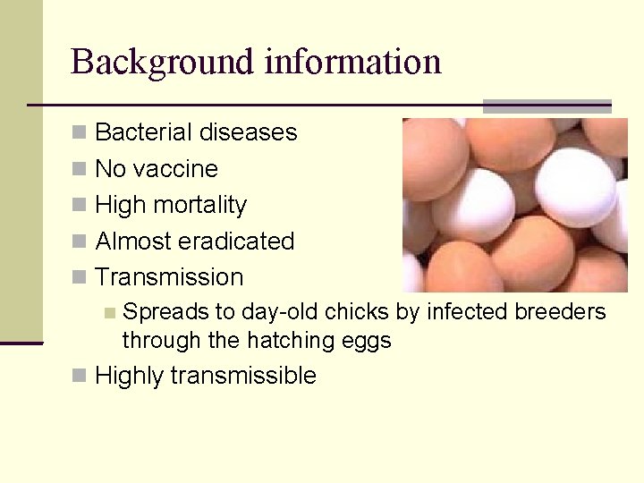 Background information Bacterial diseases No vaccine High mortality Almost eradicated Transmission Spreads to day-old