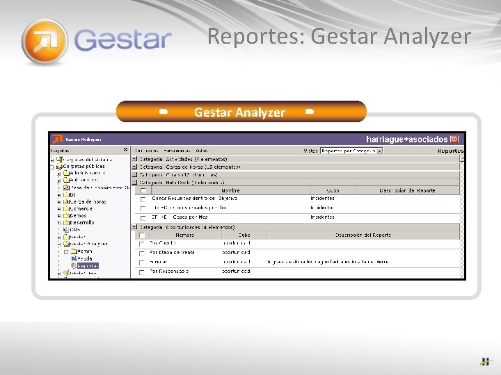 Reportes: Gestar Analyzer 