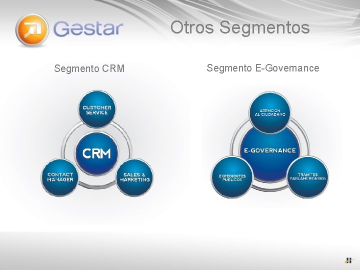 Otros Segmento CRM Segmento E-Governance 