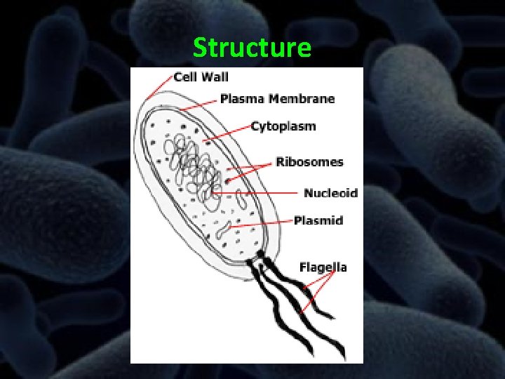 Microbiology Microorganisms Microorganisms or microbes for short are