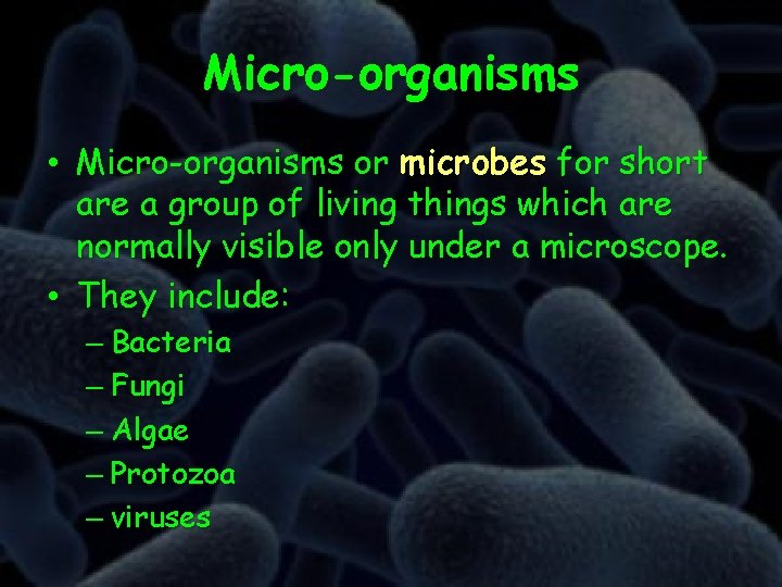 Microbiology Microorganisms Microorganisms Or Microbes For Short Are