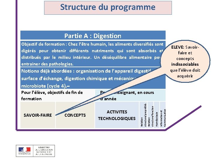 Structure du programme Partie A : Digestion Objectif de formation : Chez l’être humain,