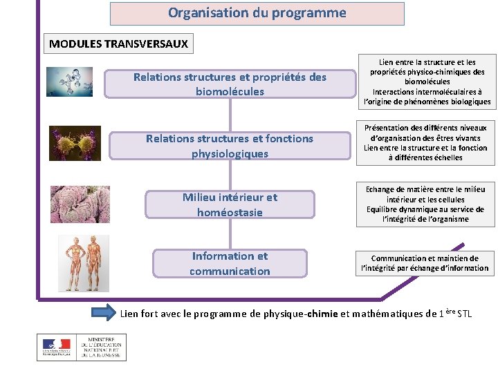 Organisation du programme MODULES TRANSVERSAUX Relations structures et propriétés des biomolécules Lien entre la