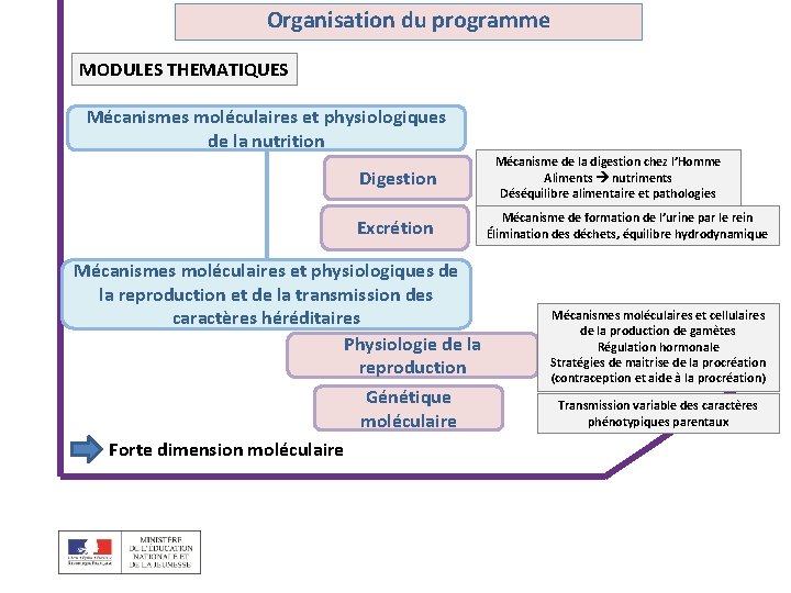 Organisation du programme MODULES THEMATIQUES Mécanismes moléculaires et physiologiques de la nutrition Digestion Excrétion