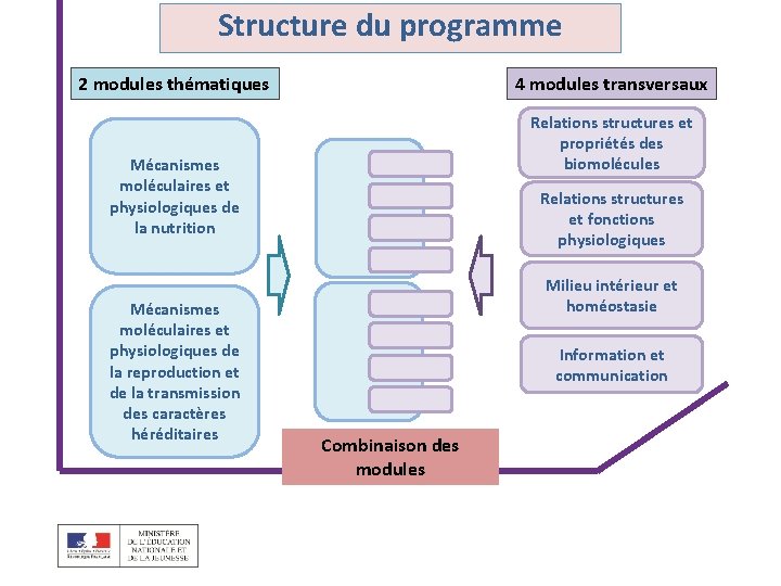 Structure du programme 2 modules thématiques 4 modules transversaux Relations structures et propriétés des