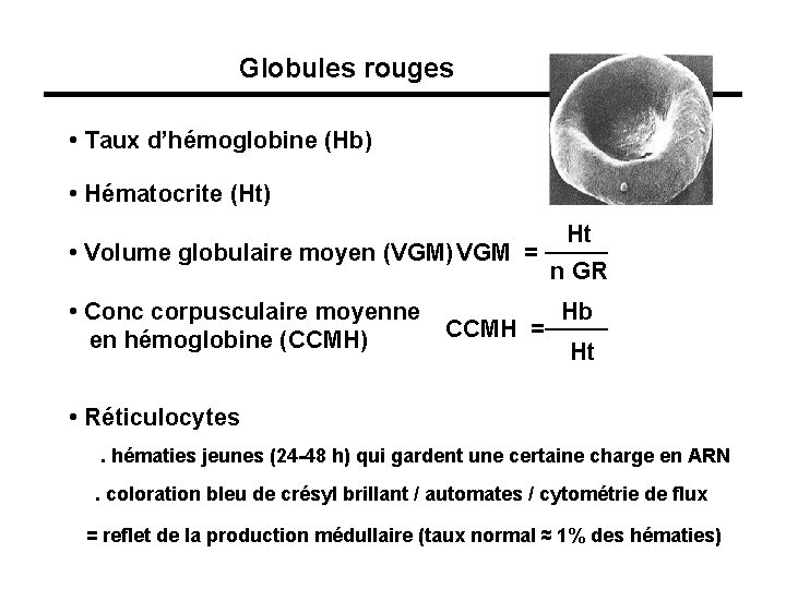Globules rouges • Taux d’hémoglobine (Hb) • Hématocrite (Ht) • Volume globulaire moyen (VGM)