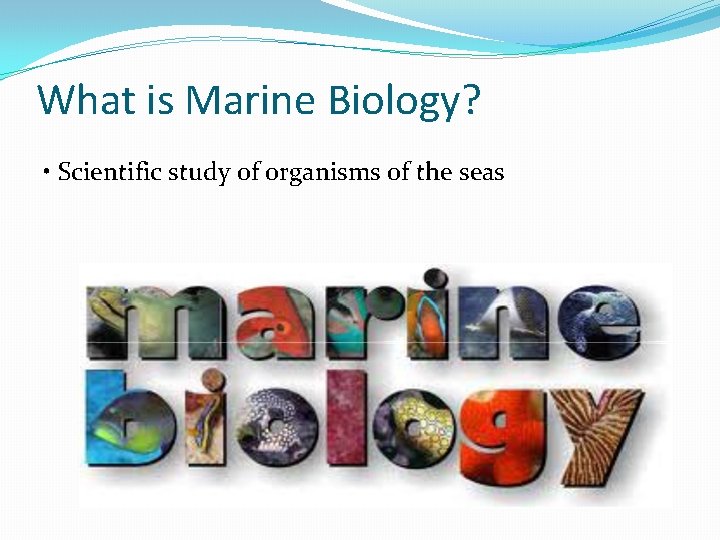 What is Marine Biology? • Scientific study of organisms of the seas 