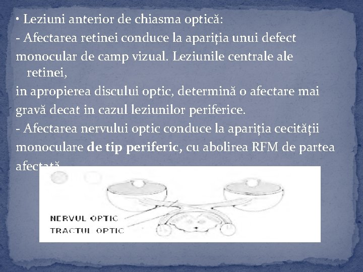 partea senzorială a retinei)