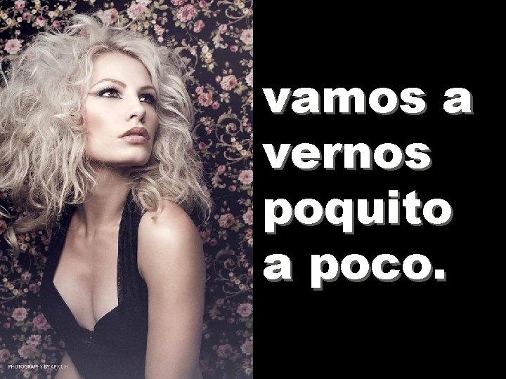 vamos a vernos poquito a poco. 