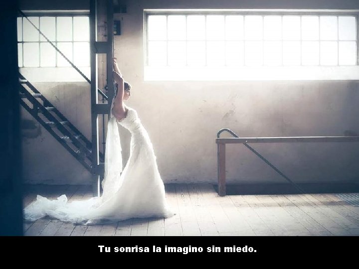 Tu sonrisa la imagino sin miedo. 