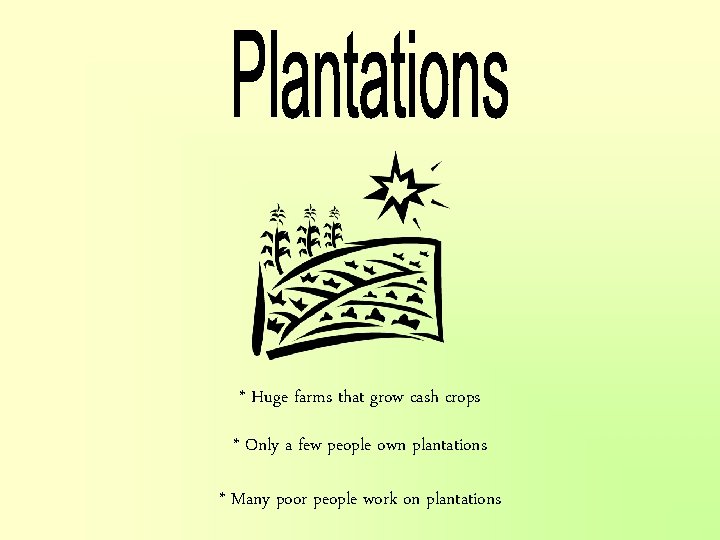 * Huge farms that grow cash crops * Only a few people own plantations