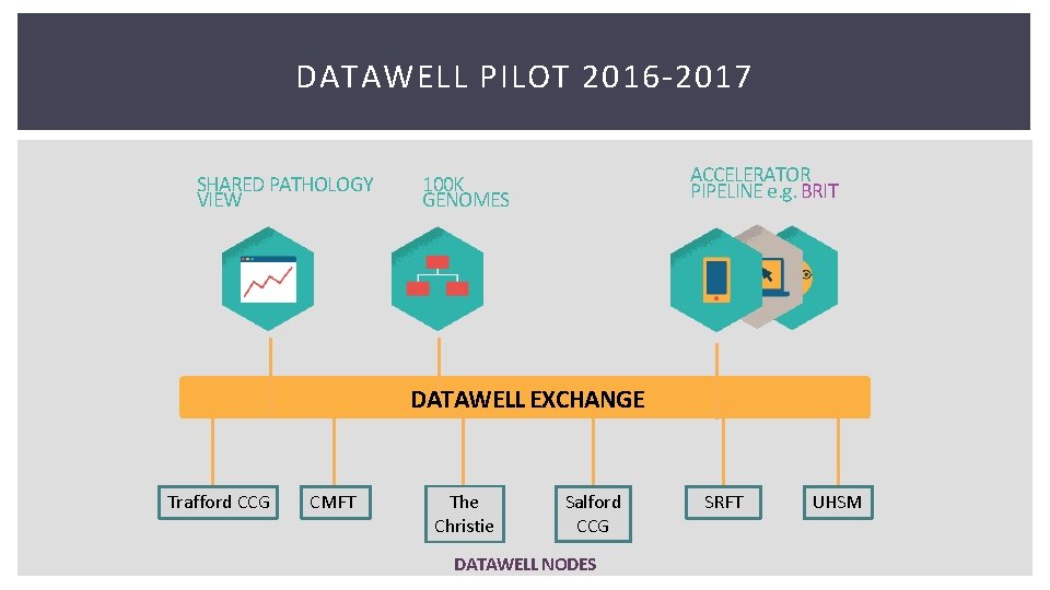 DATAWELL PILOT 2016 -2017 SHARED PATHOLOGY VIEW ACCELERATOR PIPELINE e. g. BRIT 100 K DATAWELL PILOT 2016 -2017 SHARED PATHOLOGY VIEW ACCELERATOR PIPELINE e. g. BRIT 100 K