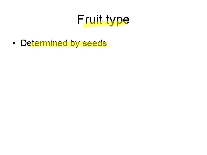 Fruit type • Determined by seeds 