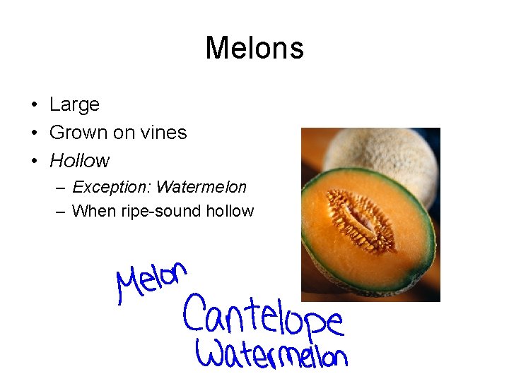 Melons • Large • Grown on vines • Hollow – Exception: Watermelon – When
