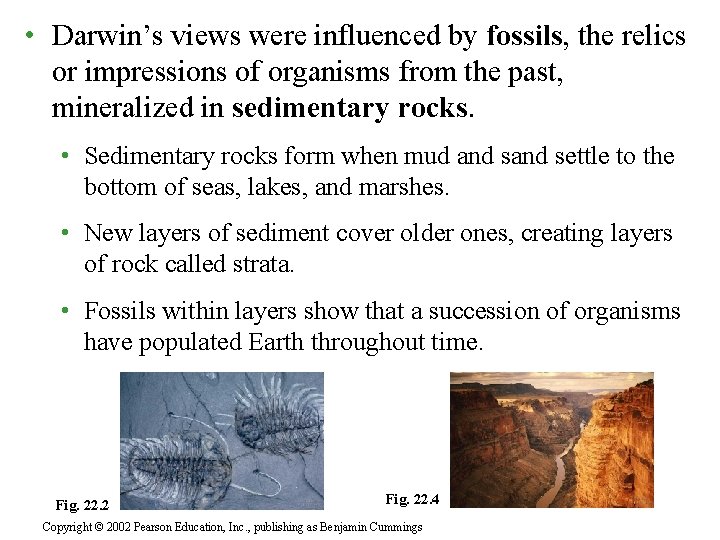  • Darwin’s views were influenced by fossils, the relics or impressions of organisms