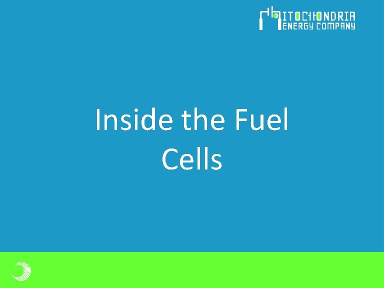 Inside the Fuel Cells Inside the Fuel Cells