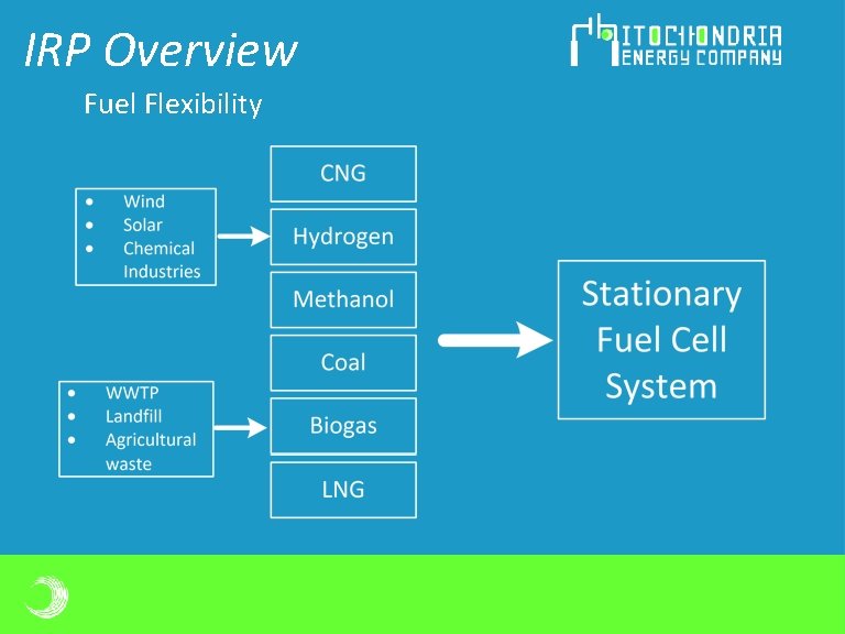 IRP Overview Fuel Flexibility IRP Overview Fuel Flexibility