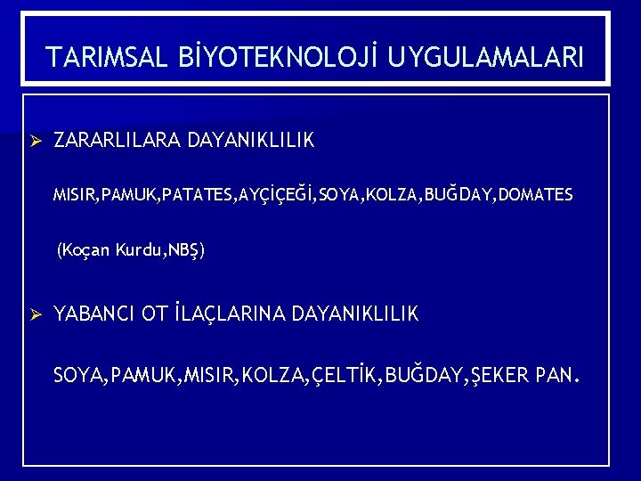 TARIMSAL BİYOTEKNOLOJİ UYGULAMALARI Ø ZARARLILARA DAYANIKLILIK MISIR, PAMUK, PATATES, AYÇİÇEĞİ, SOYA, KOLZA, BUĞDAY, DOMATES