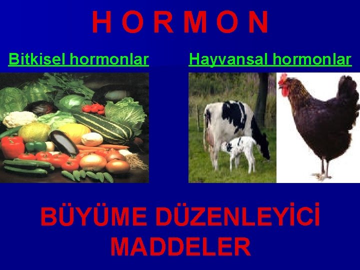 HORMON Bitkisel hormonlar Hayvansal hormonlar BÜYÜME DÜZENLEYİCİ MADDELER 