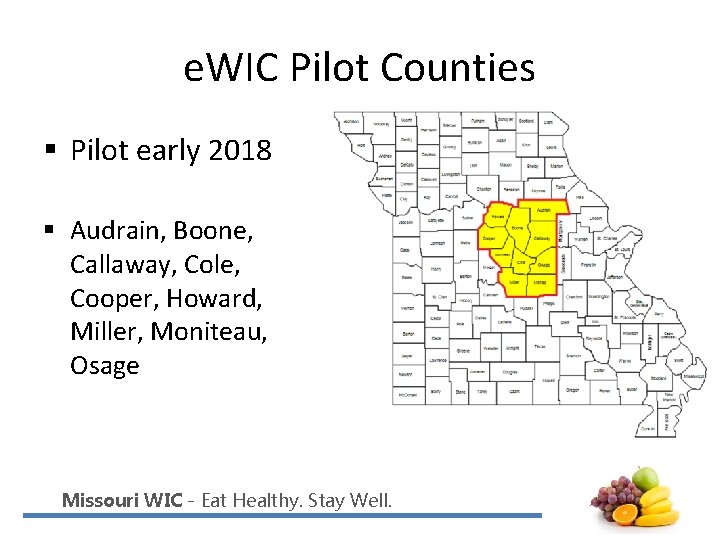 e. WIC Pilot Counties § Pilot early 2018 § Audrain, Boone, Callaway, Cole, Cooper,