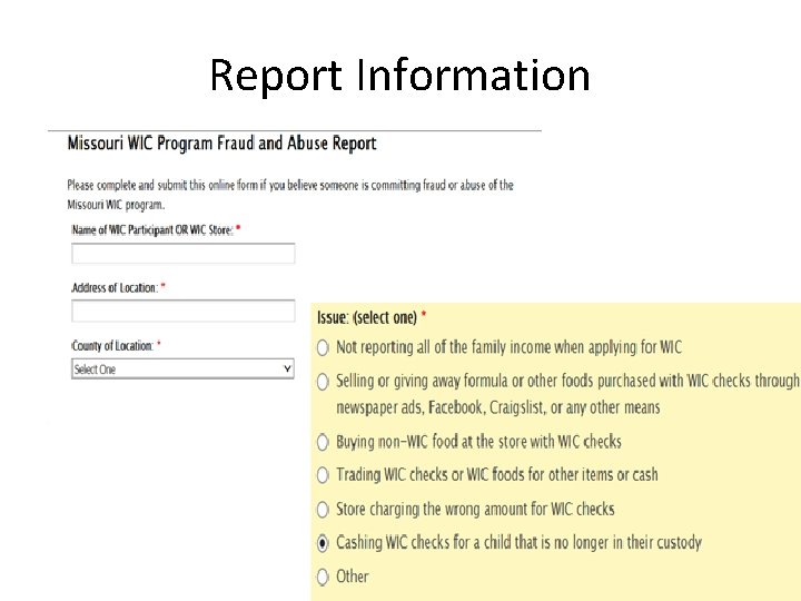 Report Information 