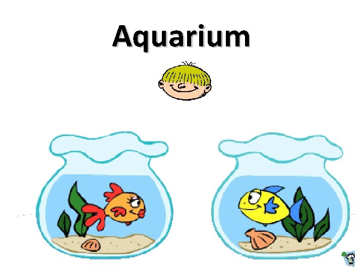 Aquarium 